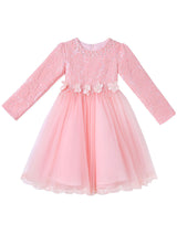 Light Pink Jewel Neck Long Sleeves Beaded Tulle Lace Kids Social Party Dresses-Dbrbridal