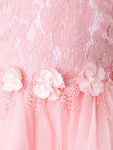 Light Pink Jewel Neck Long Sleeves Beaded Tulle Lace Kids Social Party Dresses-Dbrbridal