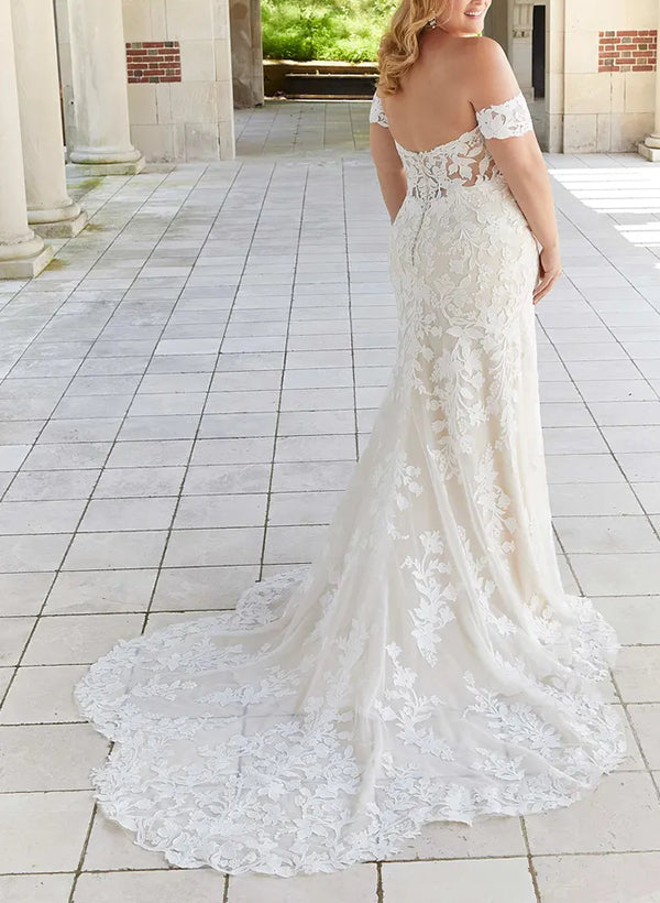 Off-the-Shoulder Elegant Court Train Lace Tulle Wedding Dresses-Dbrbridal