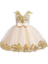 V-Neck Tulle Short Sleeves Short Princess Embroidered Kids Party Dresses-Dbrbridal