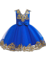 V-Neck Tulle Short Sleeves Short Princess Embroidered Kids Party Dresses-Dbrbridal